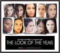 The Look of The Year, the Final World