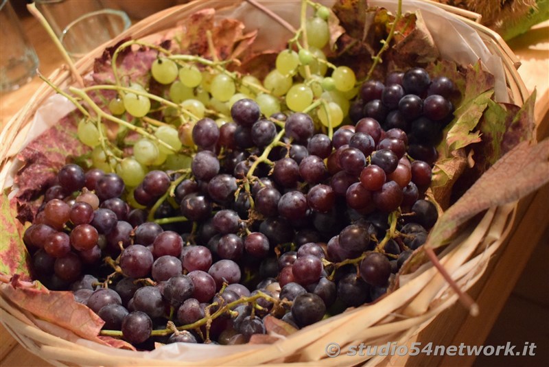 A Donnici  Sapori d'Autunno 2017, la sagra del vino e dell'uva, con Studio54network