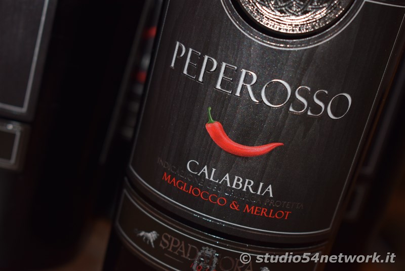 A Donnici  Sapori d'Autunno 2017, la sagra del vino e dell'uva, con Studio54network