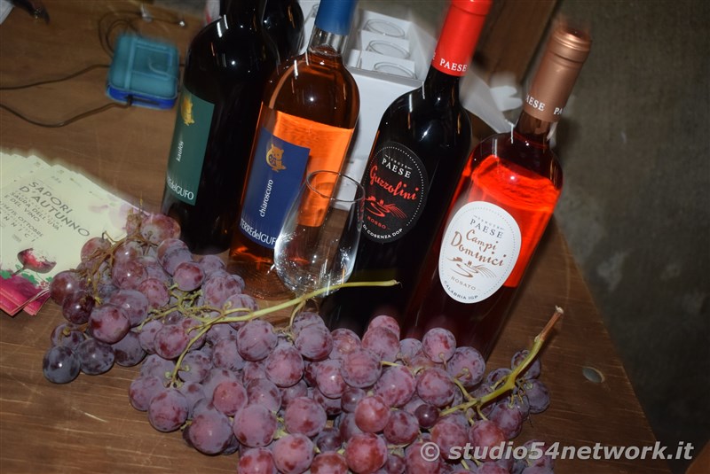A Donnici  Sapori d'Autunno 2017, la sagra del vino e dell'uva, con Studio54network