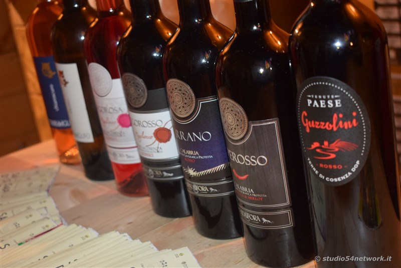 A Donnici  Sapori d'Autunno 2017, la sagra del vino e dell'uva, con Studio54network