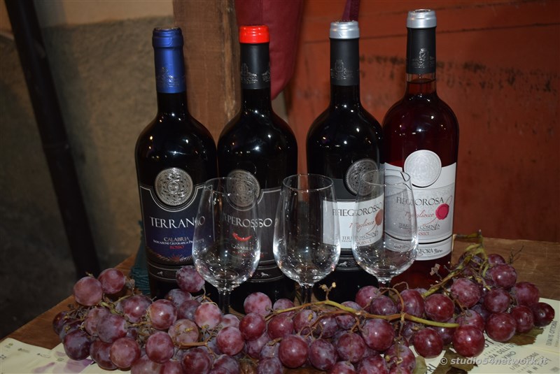 A Donnici  Sapori d'Autunno 2017, la sagra del vino e dell'uva, con Studio54network