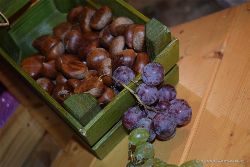 A Donnici  Sapori d'Autunno 2017, la sagra del vino e dell'uva, con Studio54network