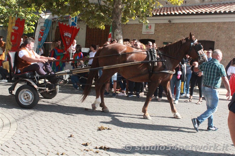 Sagra della Polenta 2019 a Dipignano (Cosenza) con Studio54network