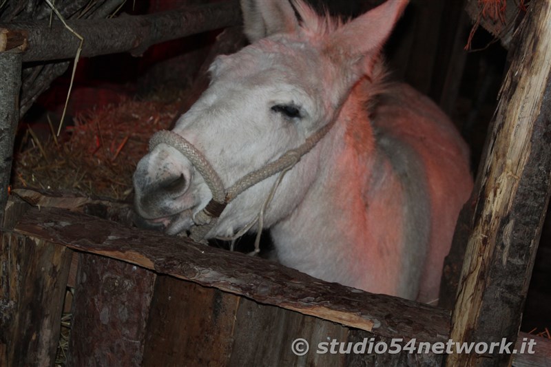 Grande successo per la Diciottesima Edizione del Presepe Vivente di Panettieri, su Studio54network