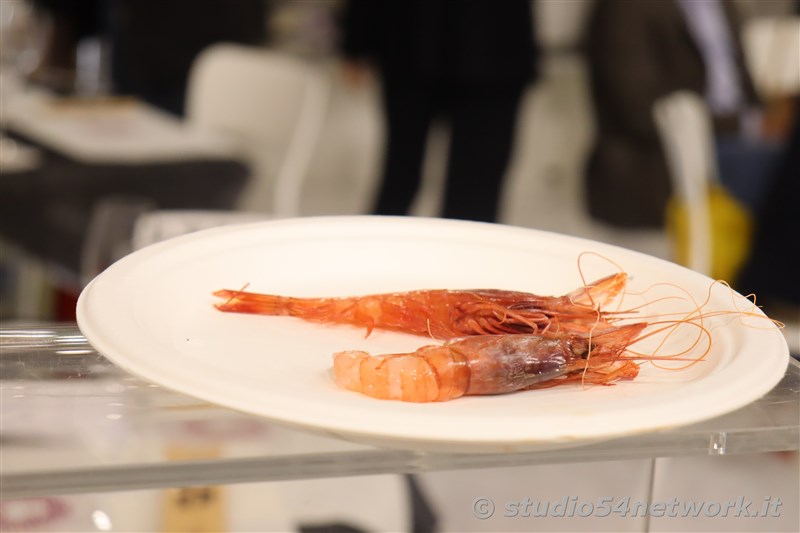 Verona capitale del Vino, con Vinitaly e Vinitaly and the city, su Studio54network, con FEAMP! 