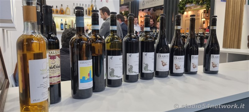 Verona capitale del Vino, con Vinitaly e Vinitaly and the city, su Studio54network, con FEAMP! 